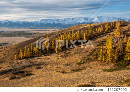 Golden autumn landscape with snowcapped mountains in background during sunrise 123207093