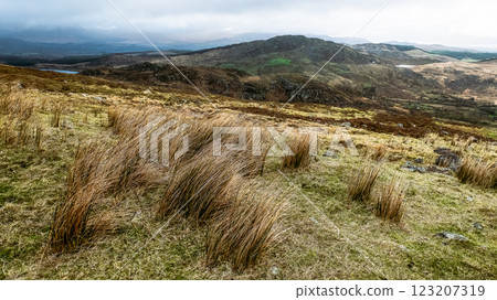 Rolling hills covered with sparse grass under a moody sky create a tranquil atmosphere. The view includes distant mountains and a peaceful lake reflecting the surroundings. Rolling hills covered with sparse grass under a moody sky create a tranquil atmosphere. The view includes distant mountains and a peaceful lake reflecting the surroundings. 123207319