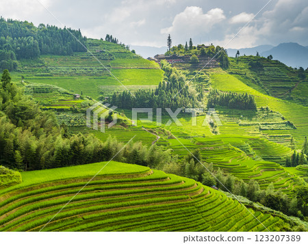 Beautiful landscape with terraced rice fields around Longji village, Longsheng county, Guilin, China 123207389