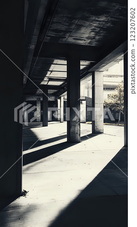 Monochrome architecture showcasing shadows and sleek concrete columns 123207602