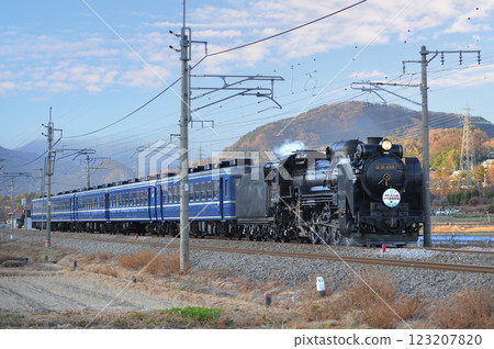 上越線 後規沼田 JR東日本 D51-498+12系 (高崎) SL Gugutto 群馬 終點 水上 123207820