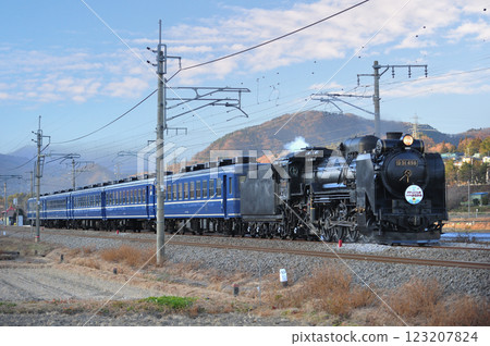 上越線 後規沼田 JR東日本 D51-498+12系 (高崎) SL Gugutto 群馬 終點 水上 123207824