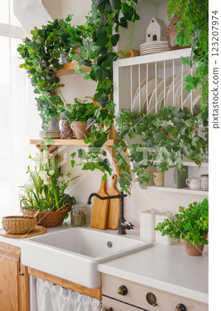 Cozy kitchen corner with fresh plants and a rustic sink for daily meal preparation, home interior Cozy kitchen corner with fresh plants and a rustic sink for daily meal preparation, home interior 123207974