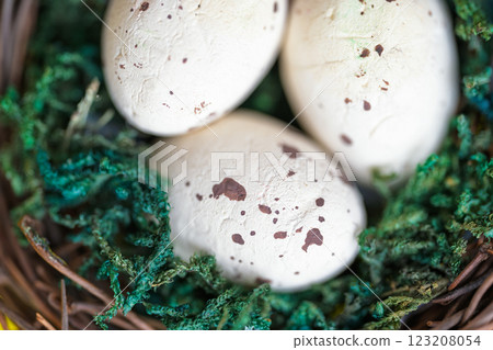 bird eggs 123208054