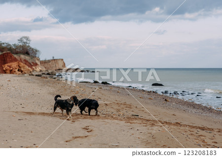 Early morning sunrise over the sea . Some clouds. 123208183