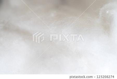 white cotton wool background white cotton wool background 123208274