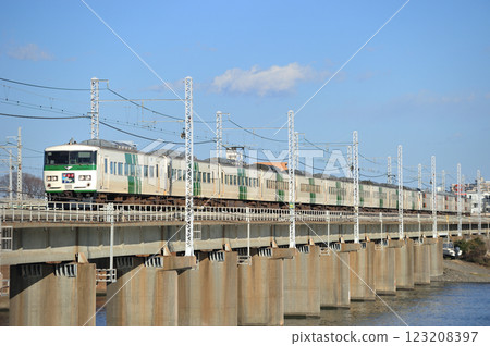 Tokaido Line Chigasaki-Hiratsuka JR East 185 series A8 train (Omiya) Odoriko 123208397