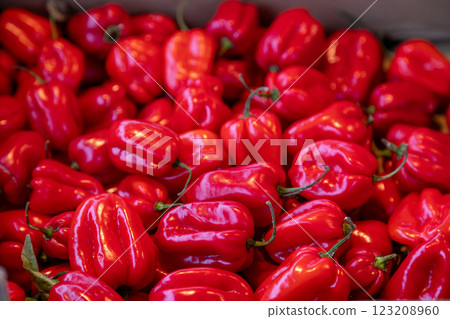 Fresh red habanero peppers with a glossy surface on display at a local market. Perfect for food 123208960