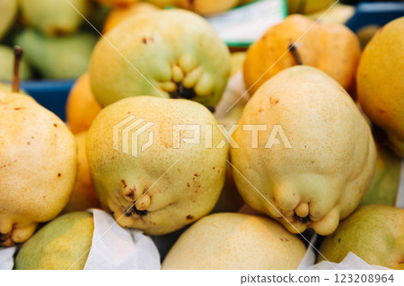 Fresh organic quinces with natural imperfections at a farmers market. Rustic autumn fruit. Perfect 123208964