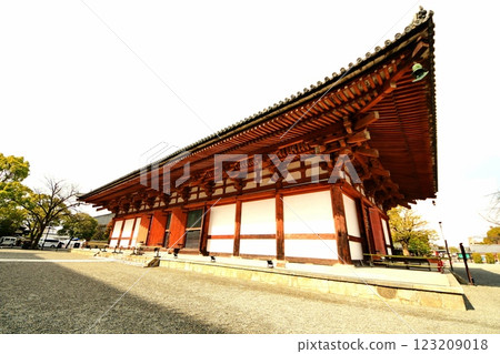 Kyoto Prefecture, Toji Temple Lecture Hall (Important Cultural Property), Kujo-cho, Minami-ku, Kyoto City, February 2022 123209018