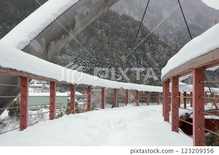 Snow falling in Iya, Tokushima Snow falling in Iya, Tokushima 123209356