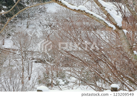 Parents and children making a snowman 123209549