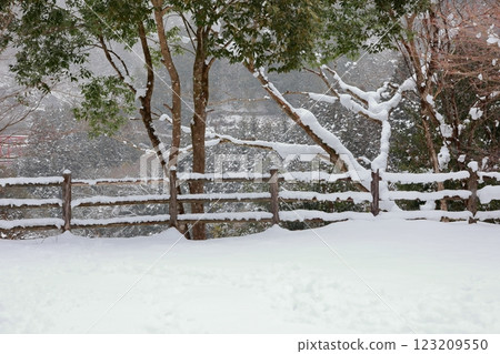Parents and children making a snowman 123209550
