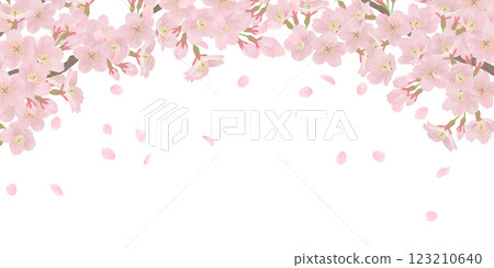 樹枝上盛開的櫻花插圖集 123210640