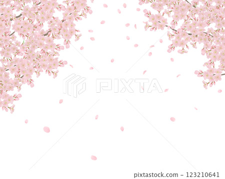 Illustration set of cherry blossoms blooming on a branch 123210641