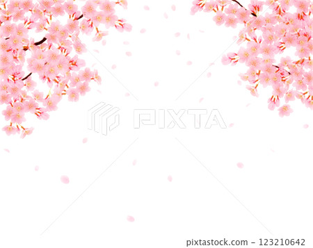 Illustration set of cherry blossoms blooming on a branch Illustration set of cherry blossoms blooming on a branch 123210642