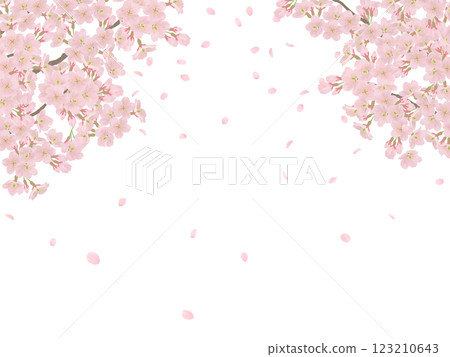 樹枝上盛開的櫻花插圖集 樹枝上盛開的櫻花插圖集 123210643