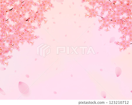 盛開的櫻花背景素材 盛開的櫻花背景素材 123210712