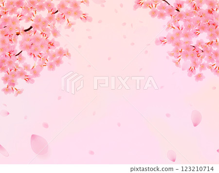 Background material of cherry blossoms in full bloom 123210714