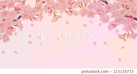 盛開的櫻花背景素材 123210715