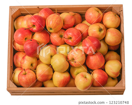 Wooden box with red and yellow apples isolated on white. Wooden box with red and yellow apples isolated on white. 123210748