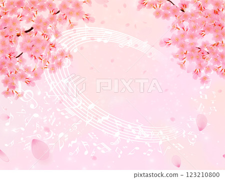 盛開的櫻花背景素材 123210800