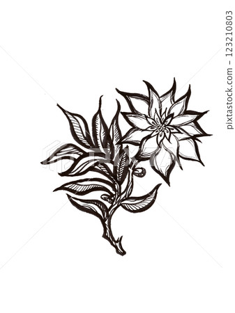 花卉、植物等(包括材料、插圖和視覺藝術) 花卉、植物等(包括材料、插圖和視覺藝術) 123210803