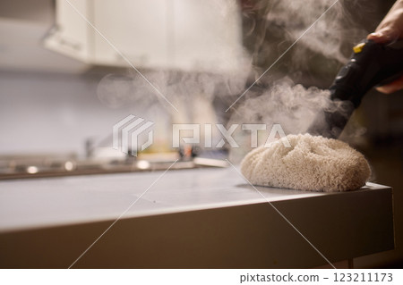 Achieving Efficient and Thorough Cleaning with a Steam Cleaner in a Modern Kitchen Setting Achieving Efficient and Thorough Cleaning with a Steam Cleaner in a Modern Kitchen Setting 123211173