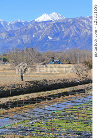 Azumino Early Spring Tale - Hotaka River Wasabi Garden 123211659