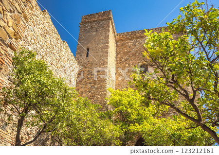 Alcazaba, palace and fortification in Malaga city at Andalusia, Spain, Europe. Ancient stone tower and walls, surrounded by lush citrus trees under a bright blue sky. 123212161