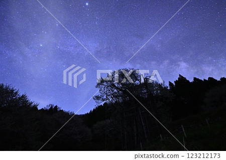 銀河與垂水櫻花 123212173