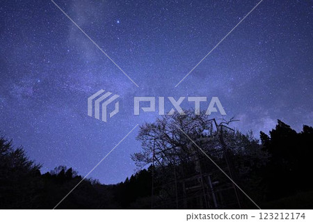 銀河與垂水櫻花 123212174