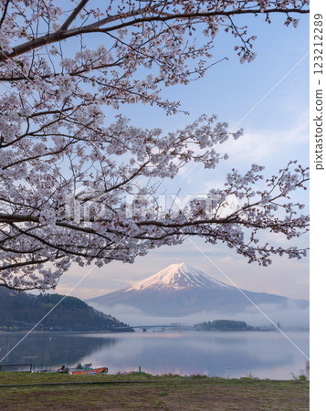 櫻花和富士山盛開_象徵著日本的絕美景色 123212289