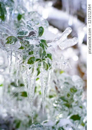 Frozen world 123212364