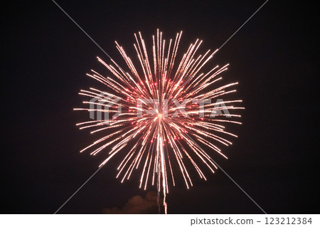 Beautiful fireworks in the night sky Beautiful fireworks in the night sky 123212384