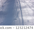 樹的陰影在雪反射了 123212474