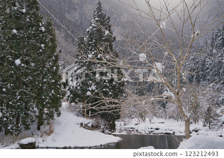 Snow scenery in the valley, Akanishi Valley, Hyogo 123212493