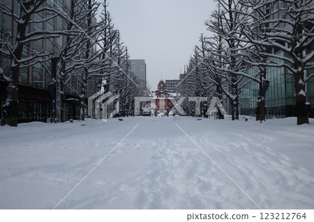 歷史建築與雪景 札幌北海道政府舊本廳舍 123212764