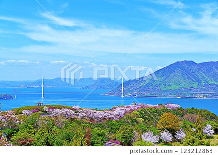 博多島櫻花 博多島櫻花 123212863