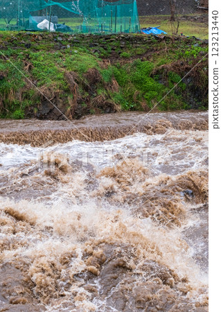 Muddy stream 123213440