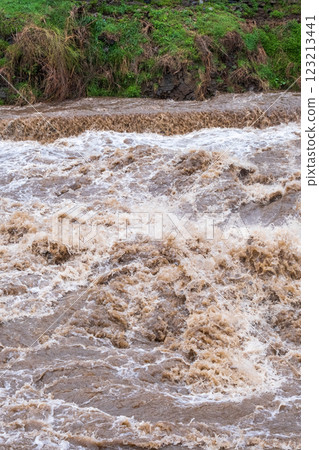 泥濘的溪流 泥濘的溪流 123213441
