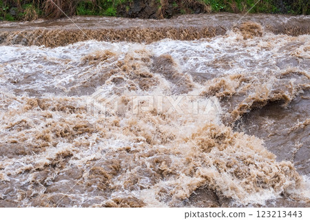 泥濘的溪流 123213443
