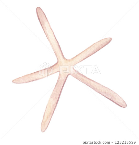 Starfish found on the beach Starfish found on the beach 123213559