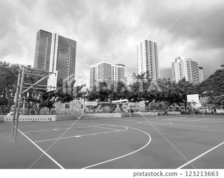 檀香山市中心公園單色 123213663