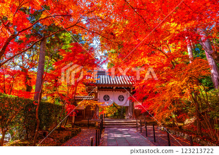 Autumn leaves on the approach to Komyo-ji Temple in Kyoto 123213722