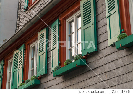 European windows with green wooden shutters in old house. Outdoors exterior 123213756