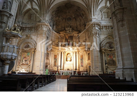 Altar inside the Basilica of Santa Maria del Coro 123213968