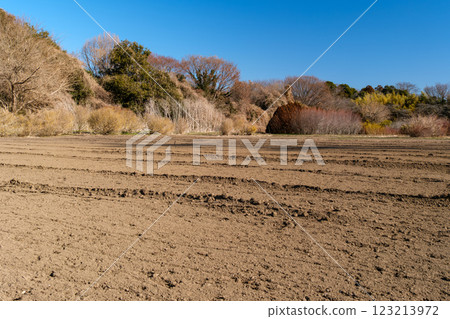 Farm and forest Farm and forest 123213972