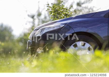 Close-up detail front of modern new shiny empty black car parked outside road in high grass on bright summer sunny day on blurred green trees background. Transport, pollution and ecology concept. 123214098