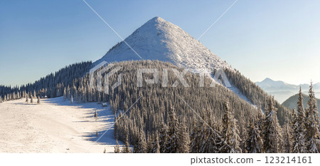 Beautiful winter panorama with fresh snow. Landscape with spruce pine trees, blue sky with sun light and high Carpathian mountains on background. Beautiful winter panorama with fresh snow. Landscape with spruce pine trees, blue sky with sun light and high Carpathian mountains on background. 123214161